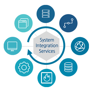 integration system services systems management enterprise solutions solution aql process soa eai programming packages shelf application edit using web custom